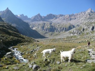 Verso i piani della Muanda