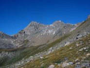 petit e grande golliat