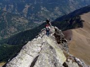 Come una schiena d' asino