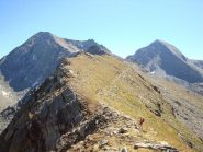 Col etsely con il Glacier e il Dela 
