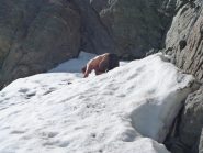 Attacco su nevaio