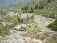 oltre alla roccia c'è anche tanta erba