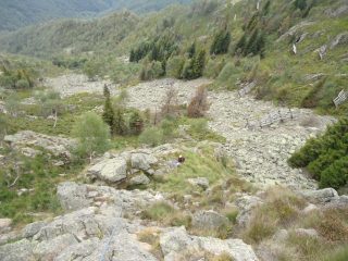 oltre alla roccia c'è anche tanta erba