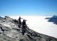 cosa avranno mai visto nella nebbia?!