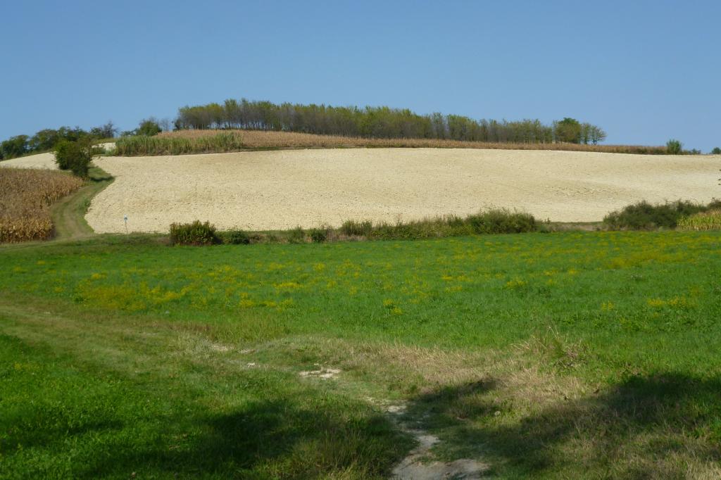 nei pressi di Montechiaro