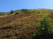 Assaggio di colori autunnali