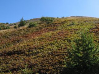 Assaggio di colori autunnali