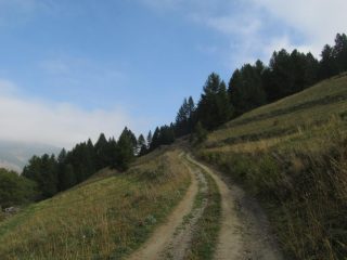 Salendo lungo la bella sterrata
