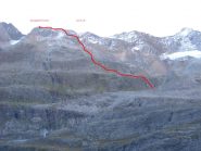 golegghorn dalla gauli  