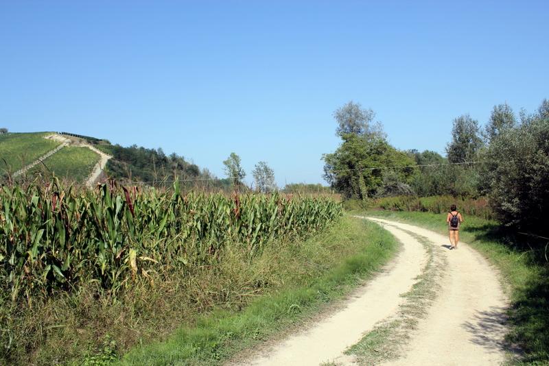 tratto di fondovalle
