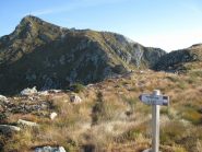 Dal Monte Cavalgrosso