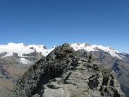 splendido panorama sul Rosa