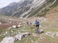 nella parte bassa
