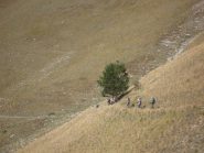 in leggera discesa nel traverso