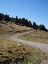 la strada che sale all'Agnellino