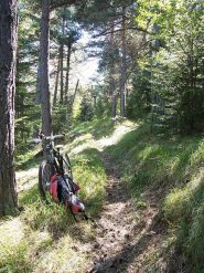 ancora un tratto da giostra veloce verso Vievola