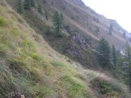 Traverso dei canali erbosi degli Andersi