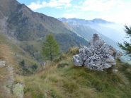 lo spettacolare roc bianc sulla cresta della punta delle maife