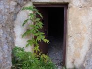 l'ingresso di uno dei due grossi buncher che si trovano sul sentiero