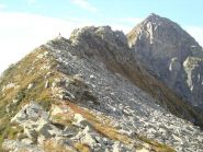 La cresta che da gemello meridionale porta al colle della Mologna Grande