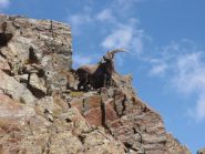 Passo Gorgion Lungo