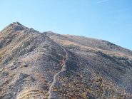 gli stambecchi ci fanno da guida varso il monte aiga