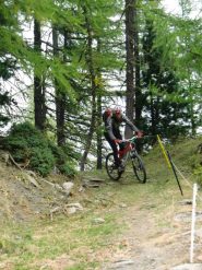 Tornantoni nel bosco