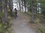 gran divertimento nel bosco!