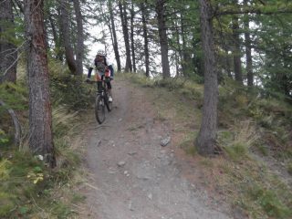 gran divertimento nel bosco!
