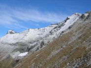 Rosa dei Banchi oggi