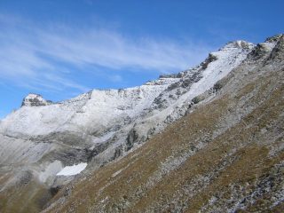 Rosa dei Banchi oggi