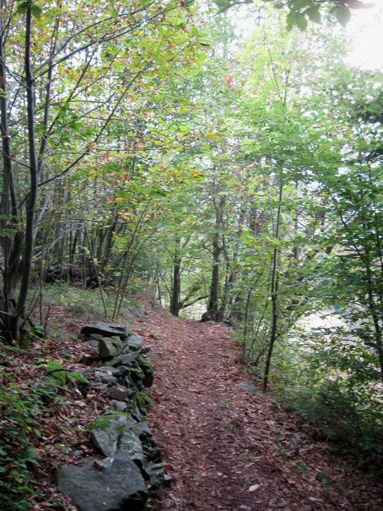 mulattiera all' inizio 