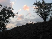 il belvedere sopra il pilone del merlo