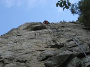 primo tiro di topo pazzo