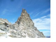 Dal colletto si presenta davvero svettante..