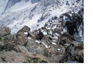 Le difficolta' aumentano..e oltretutto c'e' la neve