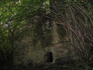 Il bosco avanza inesorabilmente ed inghiotte le vecchie baite