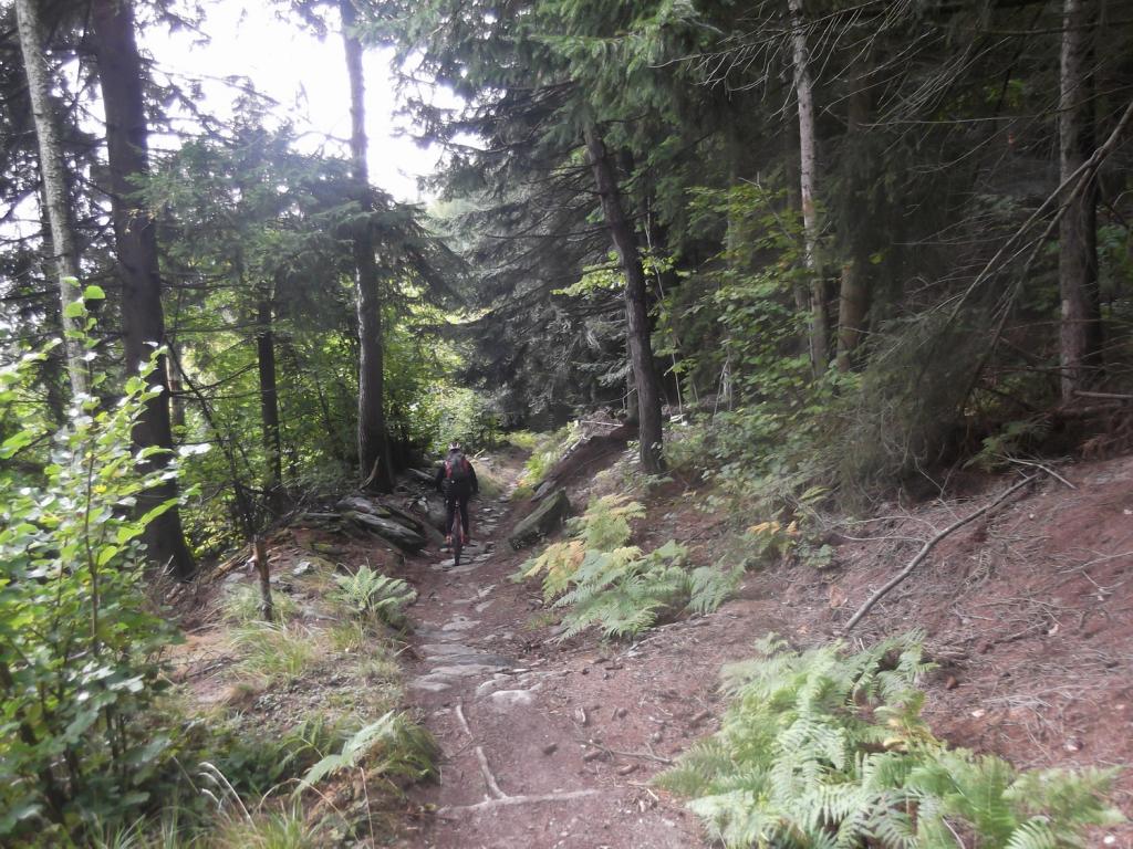 bella e facile discesa