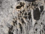 calcare a buchetti