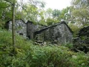 Quarto, sul rilievo quotato 1081 m.