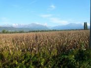 dopo Pavone con vista a nord sul Gregorio e Monbarone