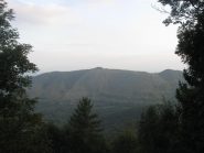 aminatifera da case ghena