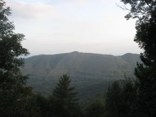 aminatifera da case ghena