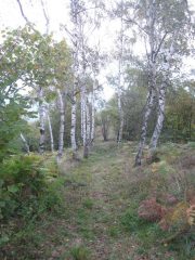 il sentiero quasi in vetta