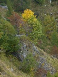 primi colori autunnali