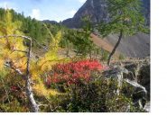 Colori e luci d'autunno..