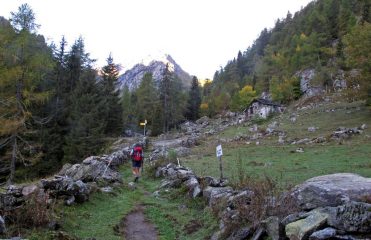 In salita poco dopo la partenza