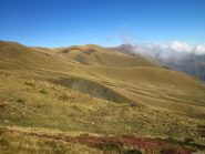 ZONA DELLE SCOSSE DI TERREMOTO