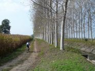 lungo il canale del Rotto