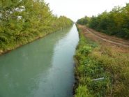Canale Depretis